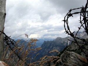 Image: khyes via Flickr: http://flic.kr/p/3drfLe